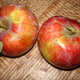 Отдается в дар яблоки на компот