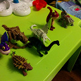 Отдается в дар Динозавры и драконы
