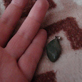 Отдается в дар Зеленый камушек-кулончик. Около сантиметра. Что за камень не знаю…
