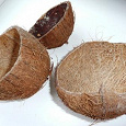 Отдается в дар Красивые осколки кокосового ореха