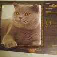 Отдается в дар Фотоальбом «Породы кошек» В 2 частях