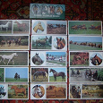 Отдается в дар Набор открыток «Такие разные кони»