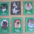 Отдается в дар календарики и открытки с кошками