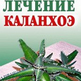 Отдается в дар Каланхоэ лечебное!
