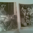 Отдается в дар фото-открытки ссср 1957 г.
