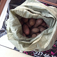 Отдается в дар Примерно 10кг картошки старого урожая