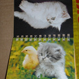 Отдается в дар календарь с котятами