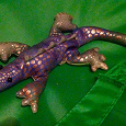 Отдается в дар игрушка декоративная «крокодил»