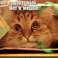 Отдается в дар Косметическо-парфюмерный кот!!!