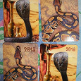 Отдается в дар И снова змеиные календарики 2013