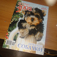 Отдается в дар Календарь 2008 собачки, Журналы Лиза, Индия, Респект