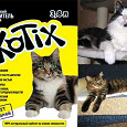Отдается в дар наполнитель Kotix для кошачьего туалета