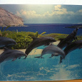 Отдается в дар Объемная картинка с дельфинами.