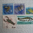Отдается в дар почтовые марки-подводный мир
