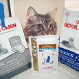 Отдается в дар Корм для кошек ROYAL CANIN