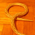 Отдается в дар Игрушечная деревянная змейка