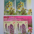 Отдается в дар Растения Республики Беларусь