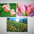 Отдается в дар открытки (картинки)-тюльпаны