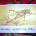 Отдается в дар карточки с насекомыми