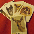 Отдается в дар набор открыток «В мире животных»