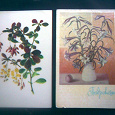 Отдается в дар открытки рисованные — цветы