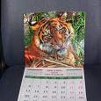 Отдается в дар Календарь с тиграми