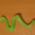 Отдается в дар резиновая змея