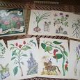 Отдается в дар Набор открыток «Из истории пряных растений»