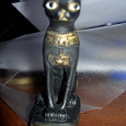 Отдается в дар кошка египетская