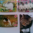 Отдается в дар календарики кролики, кошки 2011 г.