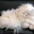 Отдается в дар Игрушка кот персидский, белый, большой и пушистый