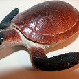 Отдается в дар Морская черепаха (игрушка)