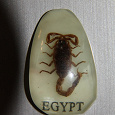 Отдается в дар Магнит со скорпионом с Египта