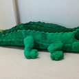 Отдается в дар Крокодил зеленый распрекрасный