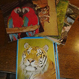 Отдается в дар набор открыток с животными