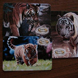 Отдается в дар Календарики с тиграми на 2010 год
