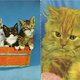 Отдается в дар Открытки с кошками, выпущенные в Германии в середине прошлого века