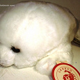 Отдается в дар Детёныш тюленя — мягкая игрушка