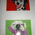 Отдается в дар открытки с собаками