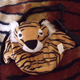 Отдается в дар Детская поясная сумка «Тигра»