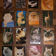 Отдается в дар Календарики с котами-кошками-котятами -2