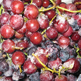 Отдается в дар Замороженный виноград, абрикос без косточек