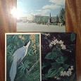Отдается в дар три открытки СССР