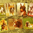 Отдается в дар Календарики — породы собак