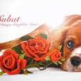 Отдается в дар Красивая турецкая открыточка ко Дню Святого Валентина с собачкой.
