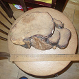 Отдается в дар гриб древесный для поделок
