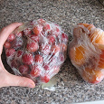 Отдается в дар замороженные абрикос и черешня