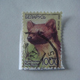 Отдается в дар почтовые марки Беларуси с животными