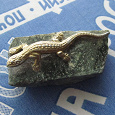 Отдается в дар Уральский сувенир: ящерка на камне