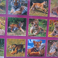 Отдается в дар Календарь на 2010 с тиграми